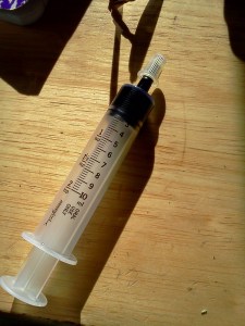 c3aea-img_20130819_174535