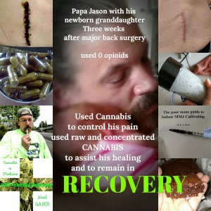 Cannabis Recovery