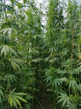 22345518_10212693495305046_502222399_o