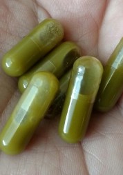Six finished capsules in a hand